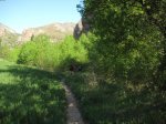 IMG_0265.JPG