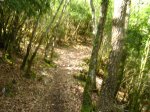 IMG_0287.JPG