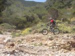 Corona-CampVell-Portixol-21.jpg