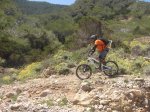 Corona-CampVell-Portixol-22.jpg