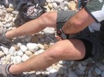 Corona-CampVell-Portixol-23.jpg