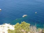 Corona-CampVell-Portixol-29.jpg