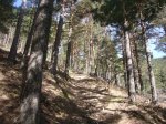 Foto4.JPG