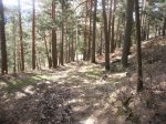 Foto5.JPG