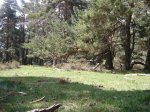 Foto9.JPG