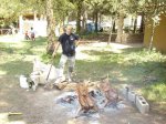 img_0563_1.jpg