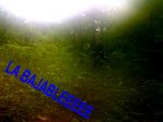 01052008735-1-1.JPG