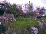 Imagen012.jpg