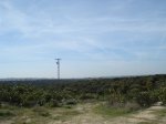 DSC05210_resize.JPG