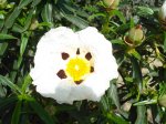 DSC05211_resize.JPG