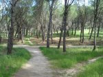 DSC05252_resize.JPG