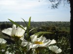 DSC05255_resize.JPG