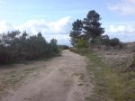 DSC00204.jpg