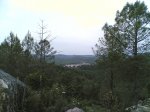 dia 03 de mayo de 2008 060.jpg