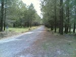 dia 03 de mayo de 2008 019.jpg