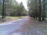 dia 03 de mayo de 2008 020.jpg