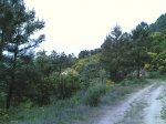 dia 03 de mayo de 2008 040.jpg