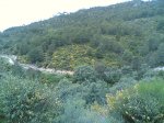 dia 03 de mayo de 2008 035.jpg