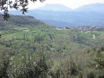 Torre de la Vall al fondo.jpg