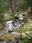 Imagen 026.JPG