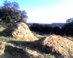 Dirt jump G.jpg