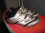 DSC00203eeeee.jpg