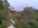Imagen002.jpg