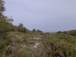 Imagen006.jpg