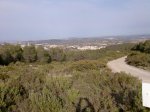 Imagen011.jpg