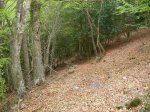 SANY0014.JPG