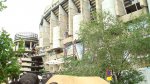 DSC00525.jpg