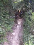 PICT0033 (Medium).JPG