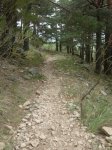 cuerda_larga43.JPG