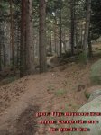 cuerda_larga68.JPG