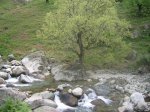 DSCN4362.JPG