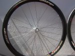 100_3294.jpg