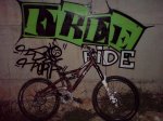 DSC00783.jpg