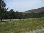 IMG_4662.jpg