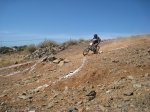 IMG_6559.jpg