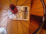 DSC00034.jpg
