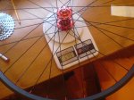 DSC00035.jpg