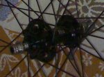 06052008177.jpg