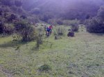 10 03052008132.jpg