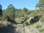 DSC02729.jpg