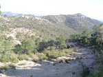 DSC02738.jpg