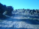 DSC01654.JPG