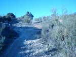 DSC01656.JPG