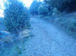 DSC01676.JPG