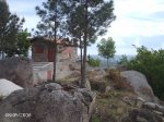 DSC00004.JPG