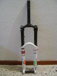 DSC09093.jpg
